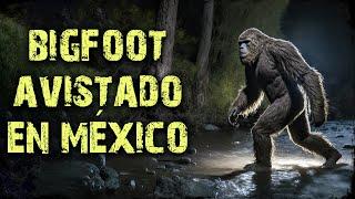 La Verdad Que Te Sorprenderá Impactantes Avistamientos de Big Foot  #bigfoot #mexico #piegrande