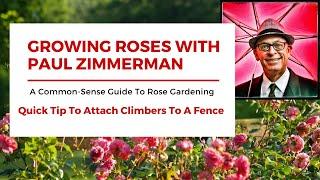 Quick Tip To Attach Climbing Roses To A Fence