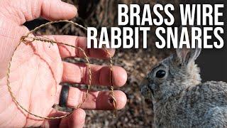 Making a Rabbit Snare with Brass Wire  TJack Survival