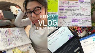 study vlog  eu amo estudar fim de semana