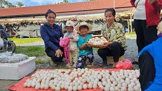 Harvest duck eggs to sell at the market with my sister