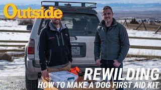 How To Make A Dog First Aid Kit  Outside