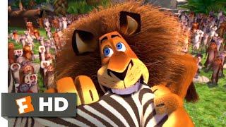 Madagascar 2005 - Alex Goes Crazy Scene 710  Movieclips