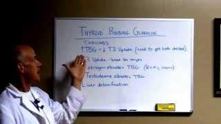 Thyroid Treatment Success Secret #10 Thyroid Binding Globulin