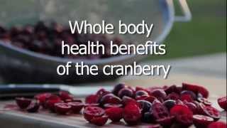 Whole Body Health Benefits of the Cranberry