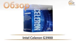 Intel Celeron G3900 - обзор самого доступного процессора Skylake