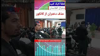 اعلام نتیجه کانکور از سوی تالبا؛ سه سال پیاپی محرومیت دختران