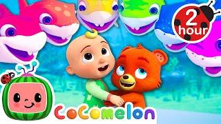 The Colorful Baby Shark Song   CoComelon - Nursery Rhymes  Fun Cartoons For Kids