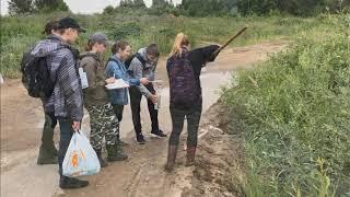 Эколого-химический мониторинг Южной водоотводной канавы г. Дубны Московской области