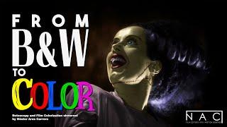 FROM BLACK & WHITE TO COLOR  Rotoscopy and Film Colorization Showreel
