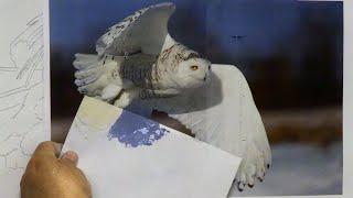 Part 1 Temperature of White  Painting the Snowy Owl  Mixing Our Colors