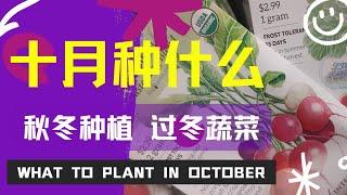 十月种什么? 秋冬种植 过冬蔬菜  what to plant in october