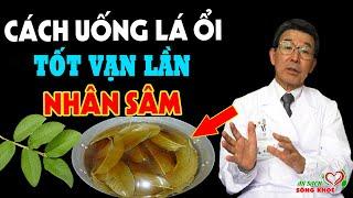 Lấy LÁ ỔI Nấu Nước Uống Theo Cách Này 9 BỆNH KHỎI NGAY  Vị Thuốc Quý Trời Ban CỰC TỐT CHO SỨC KHỎE