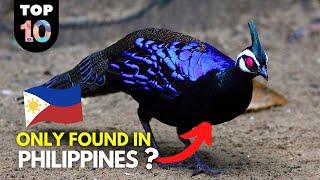 10 RARE Animals Only Found in the Philippines 