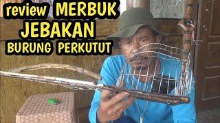 review merbuk terbaru sangkar pikat burung perkutut aotumatis