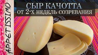 СЫР КАЧОТТА рецепт + секреты  Как сделать твердый сыр в домашних условиях  Caciotta Cheese recipe