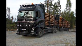 Volvo FH16 650 6X4 Timber Truck Drive Off 4K