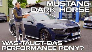 Mustang DARK HORSE - Was taugt das PERFORMANCE Pony?
