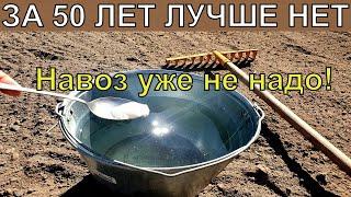 1 Ложку на ведро воды и земля как новая пролейте этим землю для обильного урожая всего