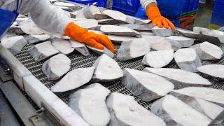 Halibut Fish Steak mass production factory Steamed fish steak  大比目魚排量產工廠 清蒸比目魚排 - Taiwanese Food