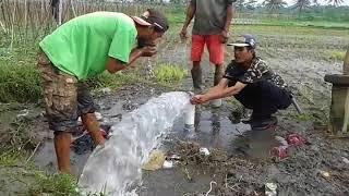 artesis positiv untuk irigasi sawah.Blok inpres Desa Sukamulya