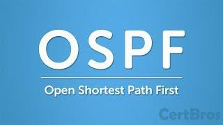 OSPF Explained  Step by Step