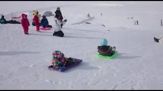 Snowy mountain toboggan snow play