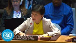 Ukraine Prevention of Misuse during Arms & Ammunition Transfer  UN Security Council Briefing