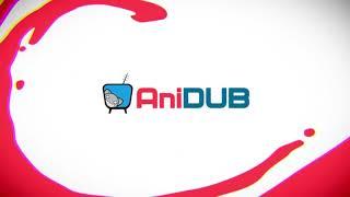 opening anidub.com