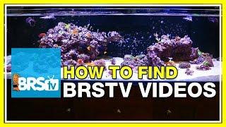 FAQ #44 How do I find all of the BRStv videos?  52 FAQ