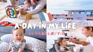 【日仏ハーフベビー】生後6ヶ月赤ちゃんの1日 離乳食  海外子育て  日仏家族