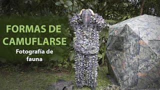 FOTOGRAFÍA de FAUNA  Tipos de camuflajes ​​