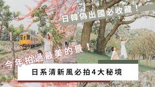 IG美照質感UP！日系清新風必拍4大秘境 feat 苦楝樹、花旗木｜大包小包不在家