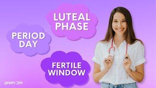 Ovulation & The Menstrual Cycle  Know Your Fertile Window