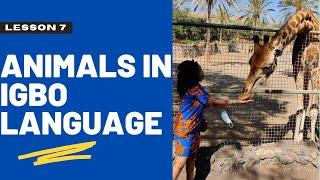 Igbo lesson 7 - Names of animals in #igbo language for beginners  #Fuerteventura Oasis Wildlife