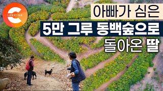 아빠가 30년 동안 가꾼 정원 이렇게 쓰기로 했어요 서울 유명 한식당 셰프 그만둔 딸이 숲으로 돌아온 이유 I #한국기행