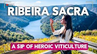 Ribeira Sacra - a Sip of Heroic Viticulture