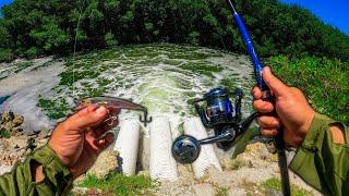 Catching Fish In a Saltwater Drainage