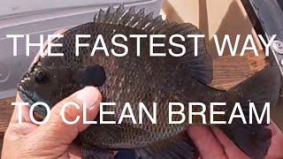 HOW TO CLEAN BLUEGILL FAST Pt.2 of Catch Clean & Cook