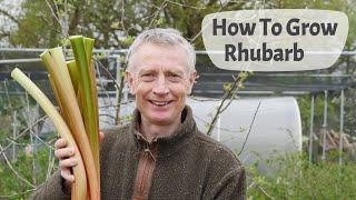 How To Grow Rhubarb - A Complete Guide Including Planting Care Harvesting And Cooking Ideas