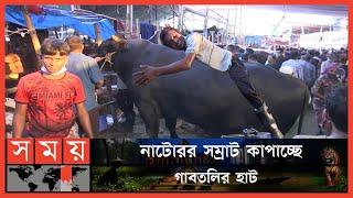 গাবতলী হাটের সবচেয়ে বড় গরু সম্রাট  Gabtoli Cow Haat  Eid al Adha  Qurbani Haat  Somoy TV