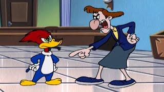 Are Woody & Ms. Meany Crazy?  Woody Woodpecker