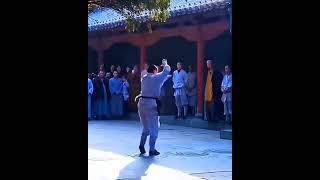 chinese action status  kung fu status  shaolin master  #shots