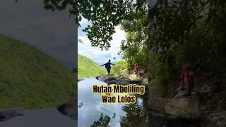 Dalam Keheningan Hutan Mbeliling Wae Lolos #travel