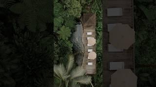 Ubud Jungle Bali