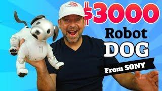 Sony Aibo a $3000 Robot Dog.  Comprehensive Review.