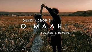 Dunki Drop 5 O Maahi Slowed + Reverb  Arijit Singh  Shah Rukh Khan  Lo-fi Song  Lyrics