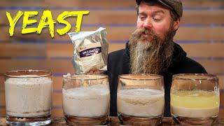 Is Your Yeast Dead? How To Keep It Alive