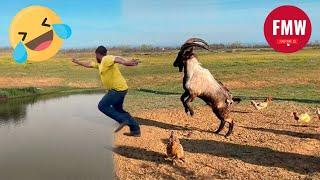 Funny & Hilarious Peoples Life  #62 - Try not to Laugh  Funny Fails Compilation 2024