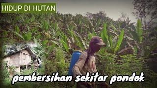 pembersihan rumput depan pondok LIJHON HIDUP DI HUTAN